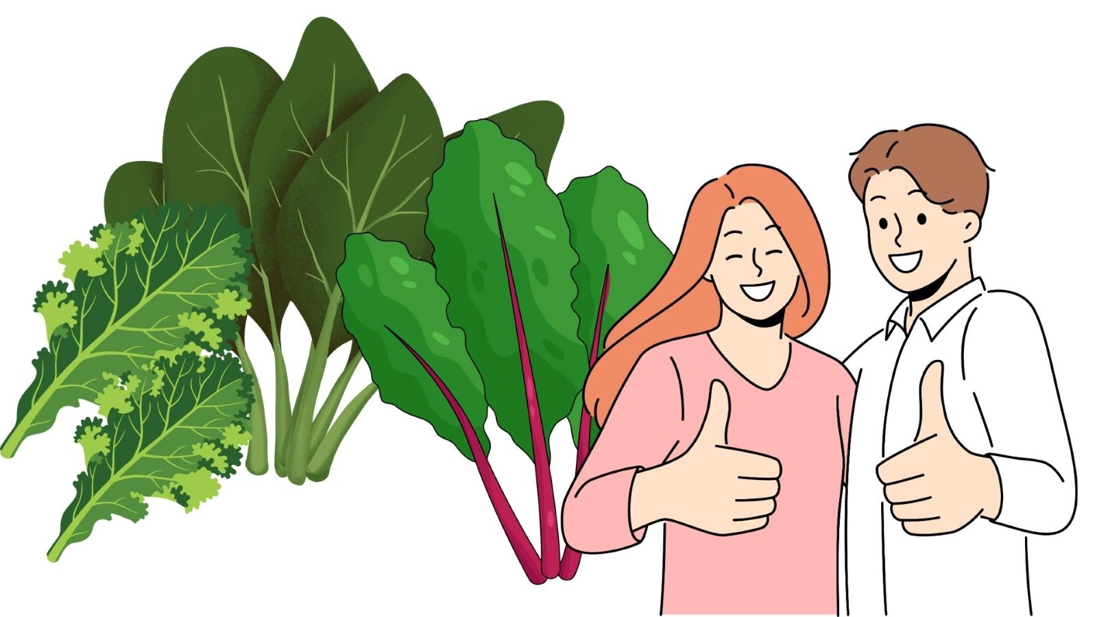 Adding green leafy vegetables to your daily diet helps improve overall health. Graphics: Thanh Thanh