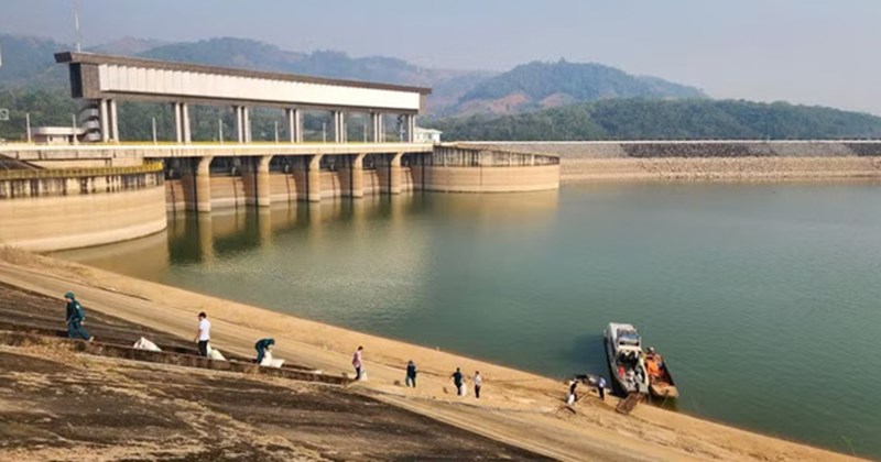 Gia Lai: Thả cá giống xuống hồ thủy điện