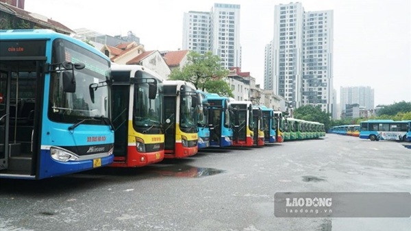 Why does Hanoi not have 5-star bus enterprises despite high quality? Photo: Hai Nguyen