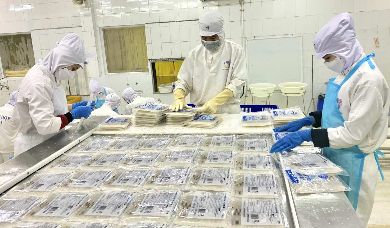 Tôm nguyên liệu chó chiều hướng giảm, các nhà máy chế biến thuỷ sản cũng không vui. Ảnh: Nhật Hồ.