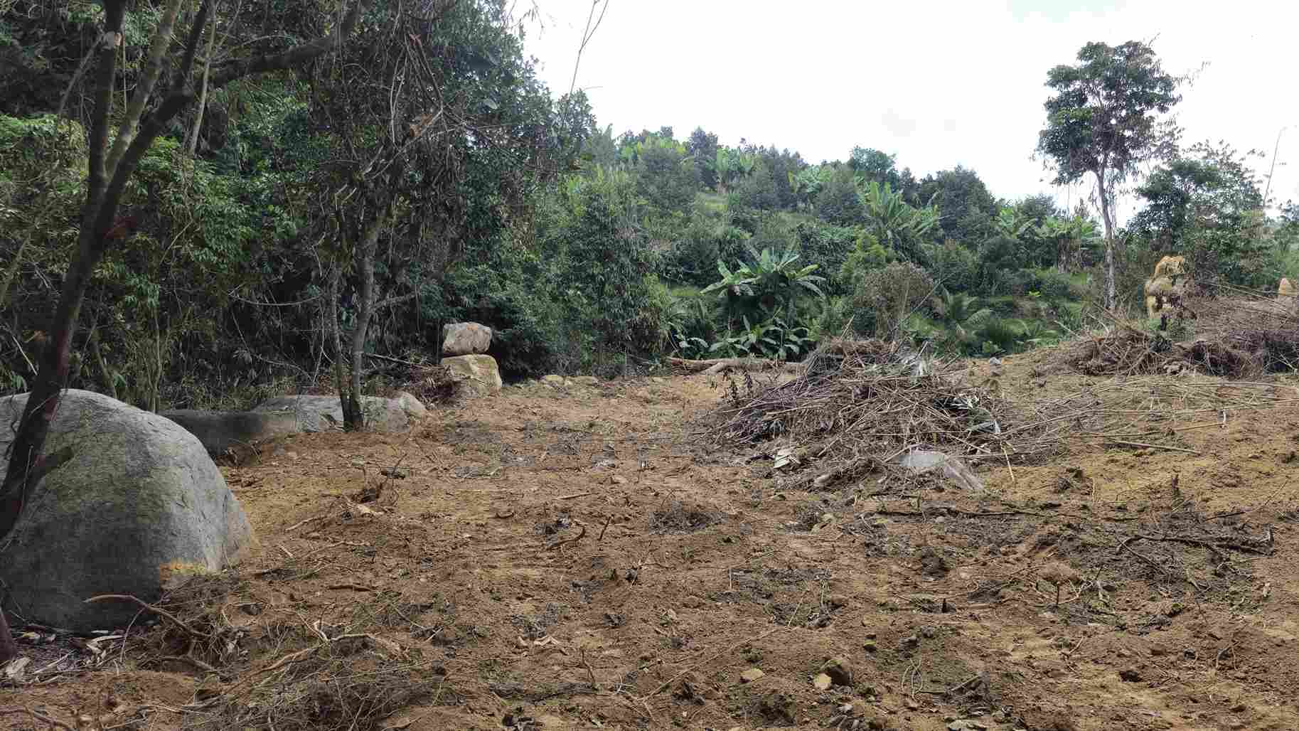 Hiện trạng cho thấy việc san gạt, đào múc đang lấn chiếm ăn sâu vào đất rừng phòng hộ trên đèo Bảo Lộc. Ảnh: Phúc Khánh 