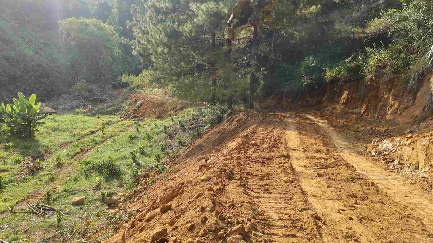 Đường nở trên đất lâm nghiệm rộng khoảng 4 mét và dài hàng chục mét. Ảnh: Phúc Khánh 