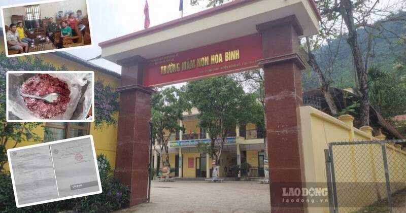 Phụ huynh tự xét nghiệm, phát hiện thịt heo nhiễm E. coli và dịch tả châu Phi