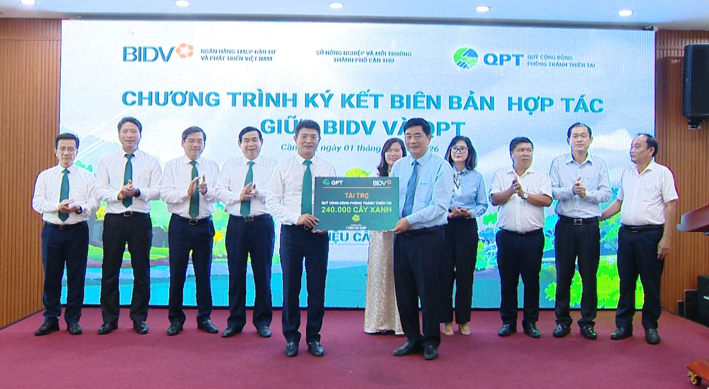 Triển khai trồng 240.000 cây xanh góp phần để BIDV hoàn thành “Trồng 1 triệu cây xanh“. Ảnh: BIDV