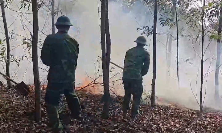 クアンチ省で1.5ヘクタールのカジュプット林を焼き尽くす火災。写真:ハン・グエン