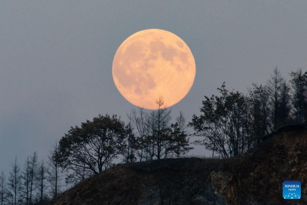 April 2nd of the Gregorian calendar, which is the full moon day of February according to the lunar calendar. Photo: Xinhua