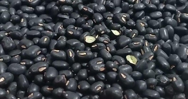 Black beans can help improve good sleep and help the body relax effectively. Photo: Kieu Vu