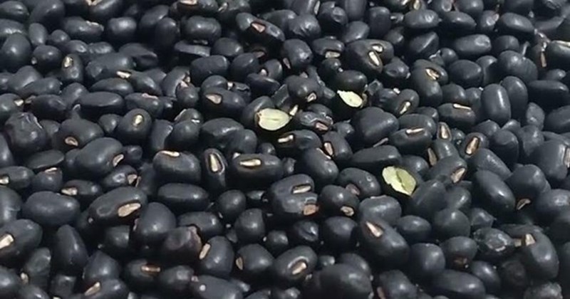 Ngủ ngon ngày hè với nước đậu đen dễ nấu