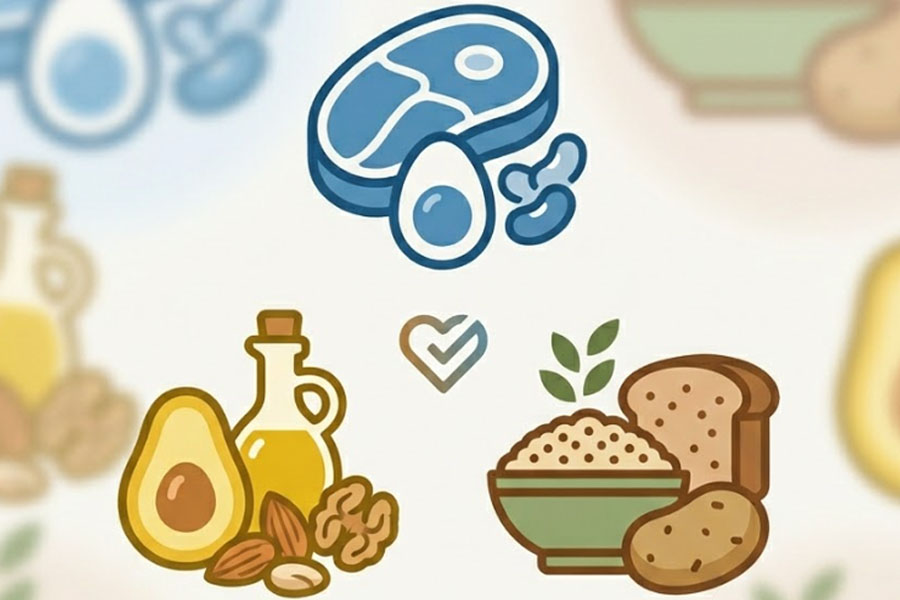 Protein, fat and starch: How to choose according to health goals. Graphics: Thien Nhan