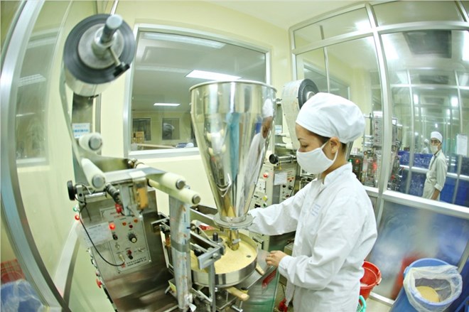 Production of medicine from medicinal plants and natural medicinal herbs. Photo: TPC