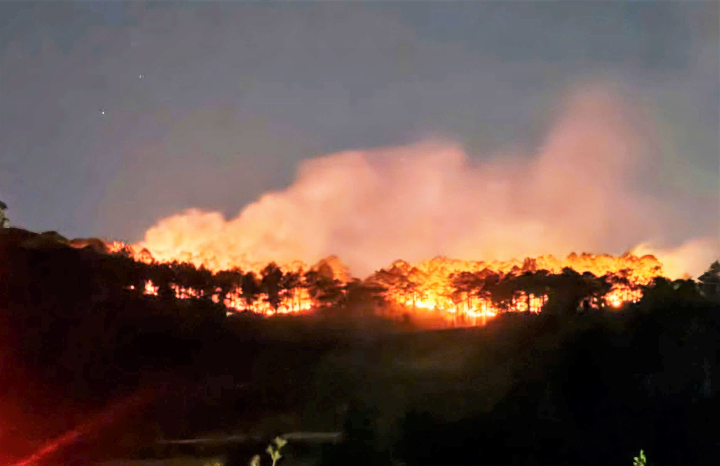 イエン・グアの丘(タンホイコミューン)での山火事現場。写真:タンホイ警察