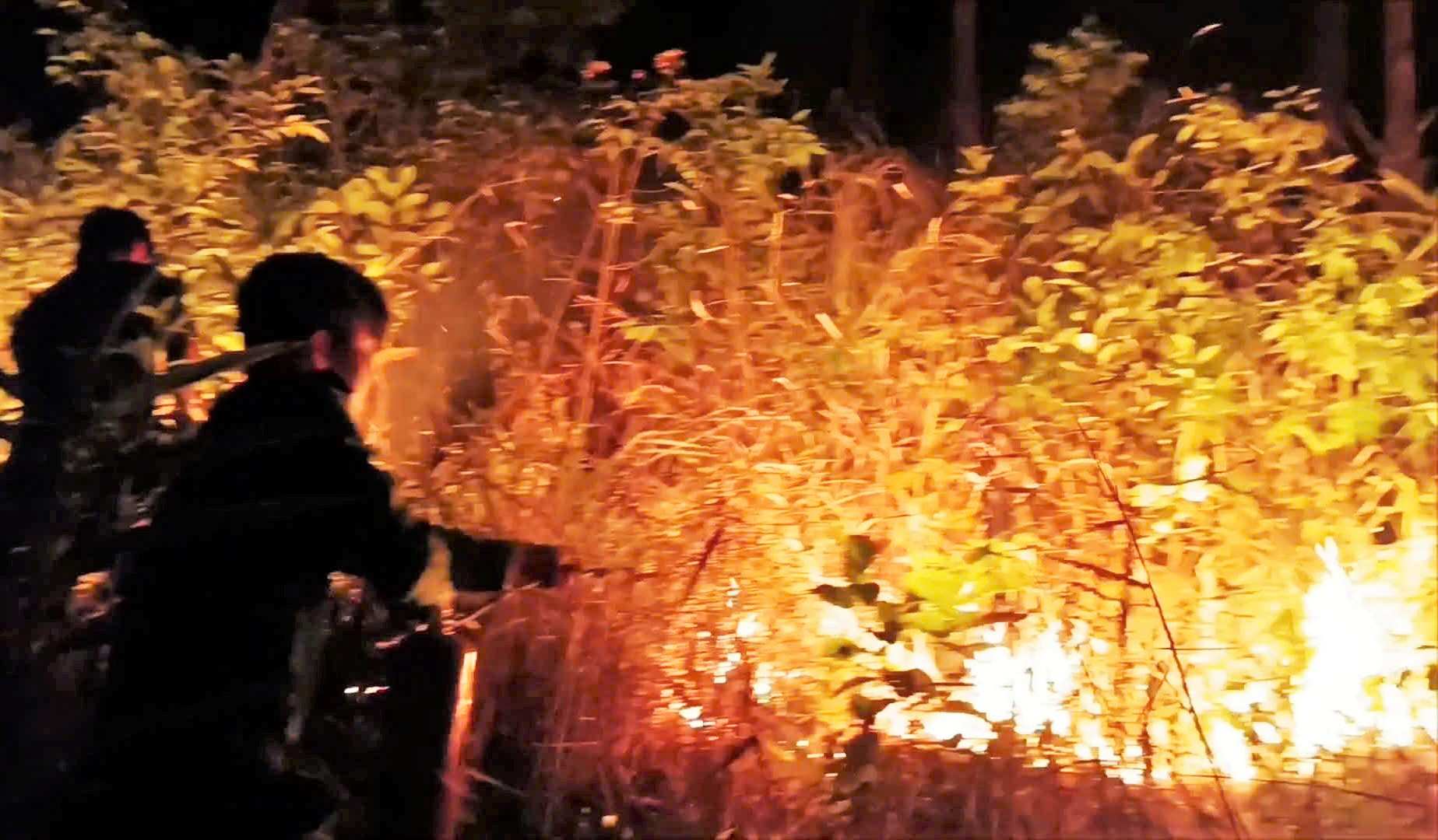 Lâm Đồng đang bước vào cao điểm mùa khô, nguy cơ xảy ra cháy rừng rất cao. Ảnh: Công an Tân Hội 