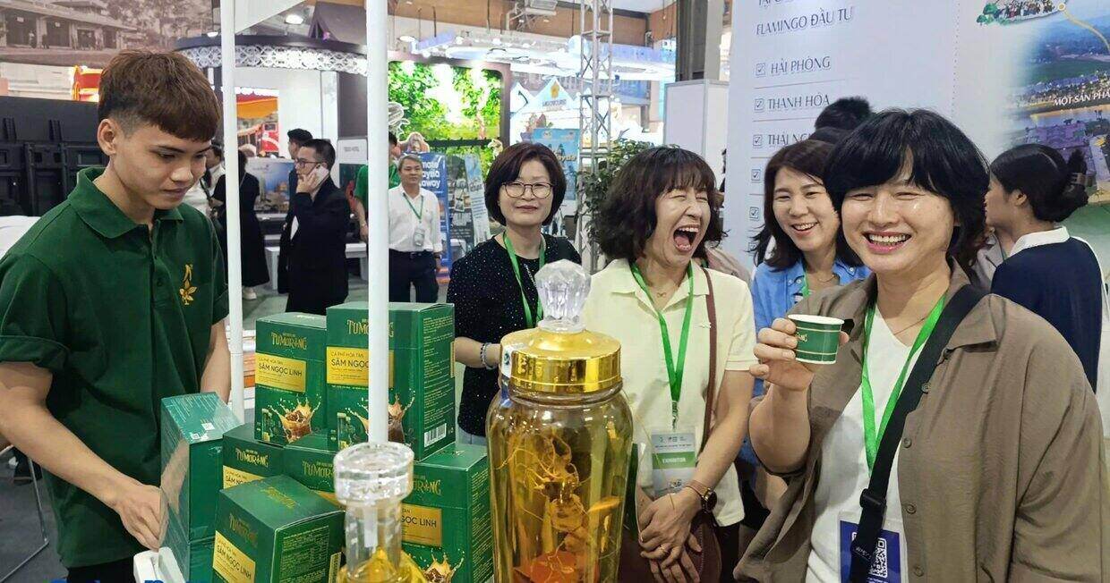 Tourists enjoy Ngoc Linh ginseng tea from Quang Ngai. Photo: Mang Linh