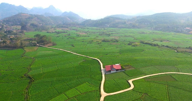 Lạng Sơn chi 19 tỷ đồng sửa chữa, nâng cấp 15 công trình thủy lợi