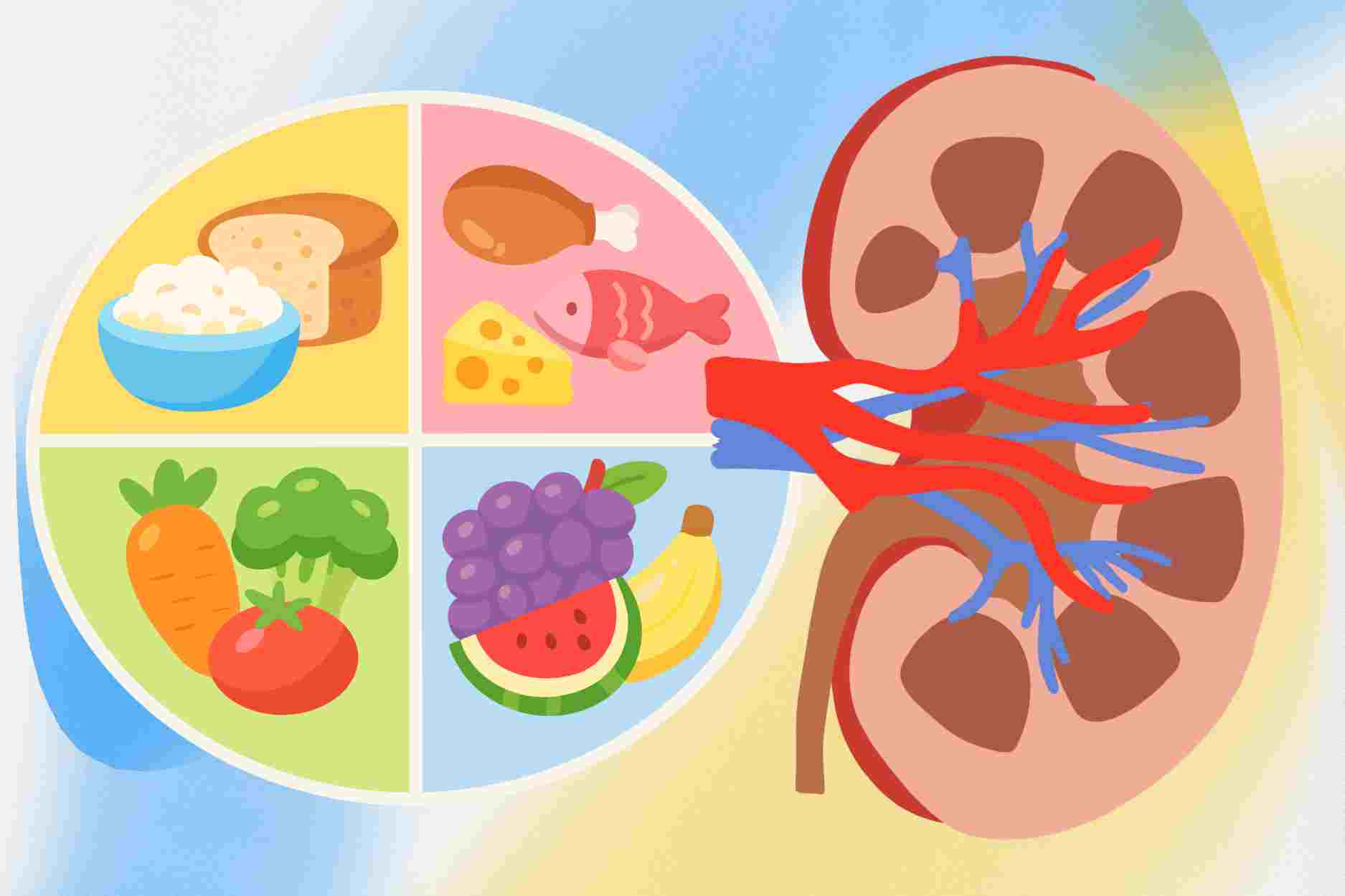 Notes on nutrition for people with kidney disease
