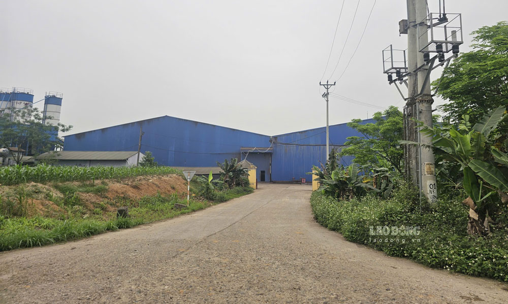 nhà máy sản xuất viên nén gỗ xuất khẩu thuộc Công ty Cổ phần Thương mại Lương Sơn