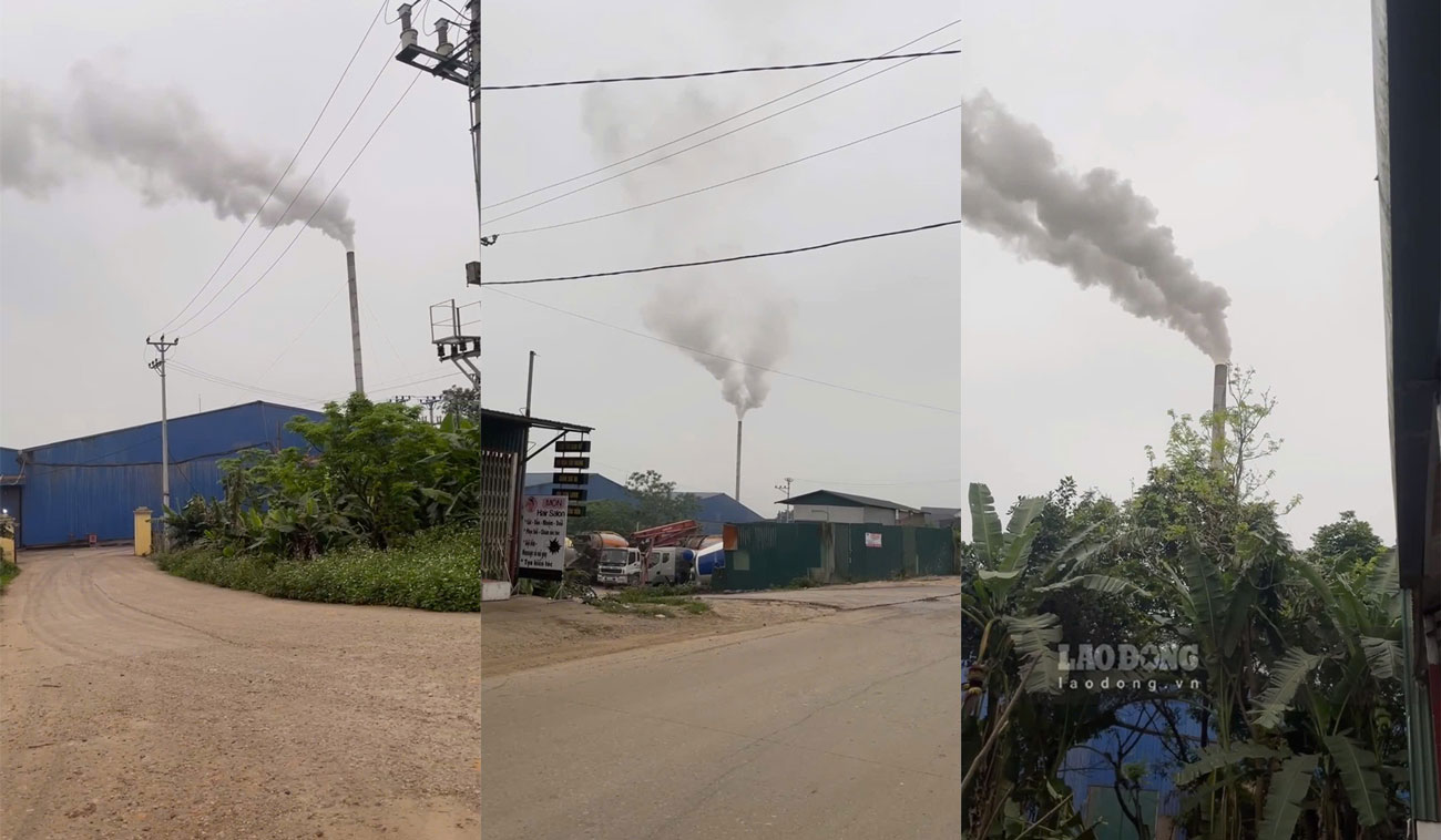 Khói thải từ nhà máy sản xuất viên nén gỗ