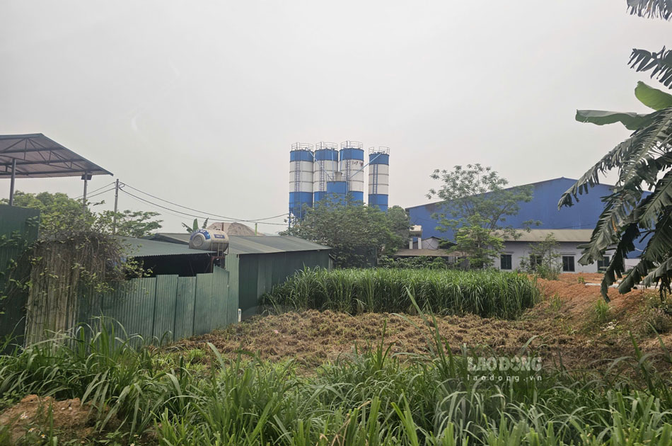 Trạm trộn bê tông hoạt động không phép cạnh nhà máy sản xuất viên gỗ nén. Ảnh: Bảo Nguyên