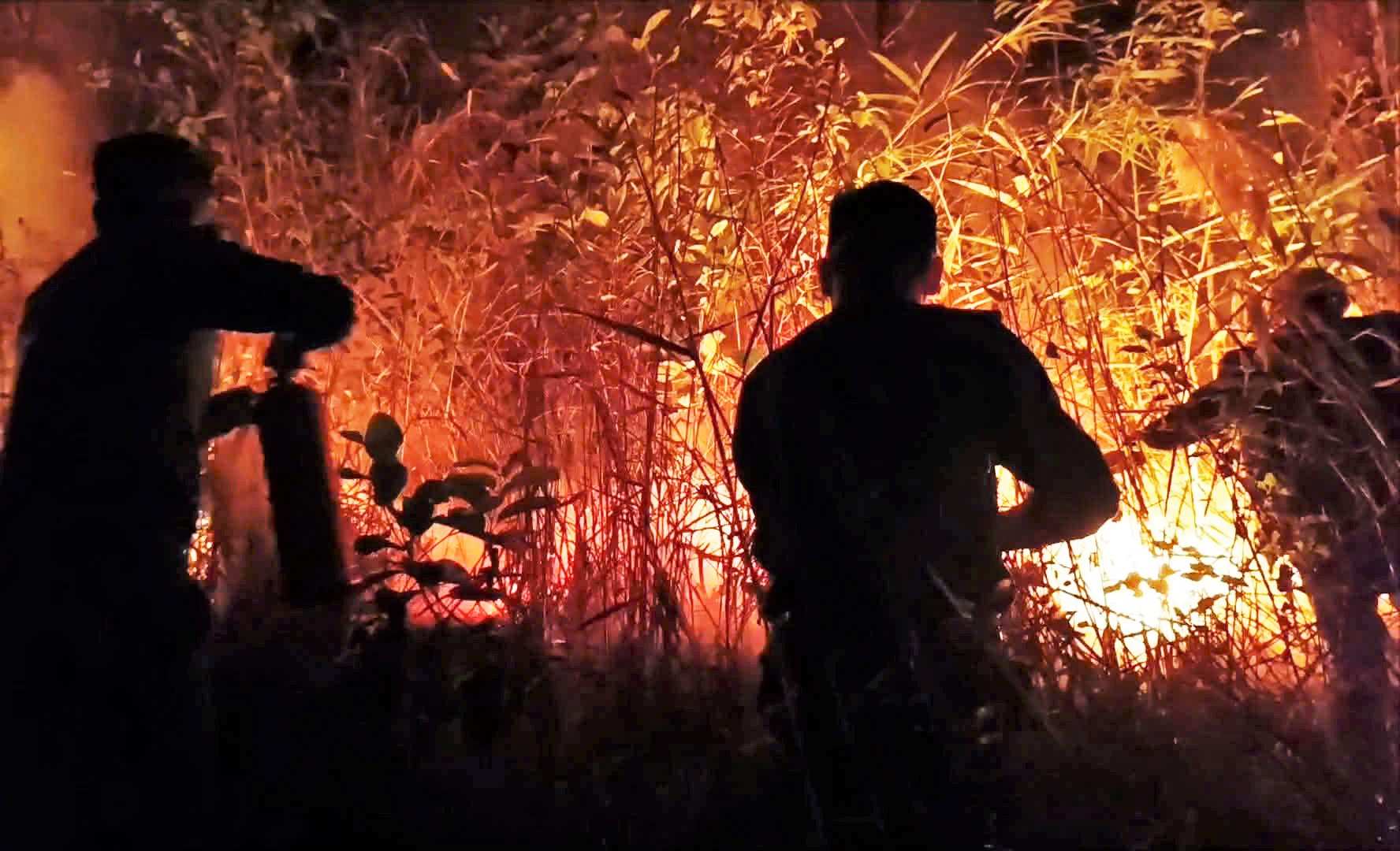 Les forces ont bravé la nuit pour éteindre le feu et maîtriser l'incendie de forêt dans la commune de Tân Hội. Photo: Police de Tân Hội