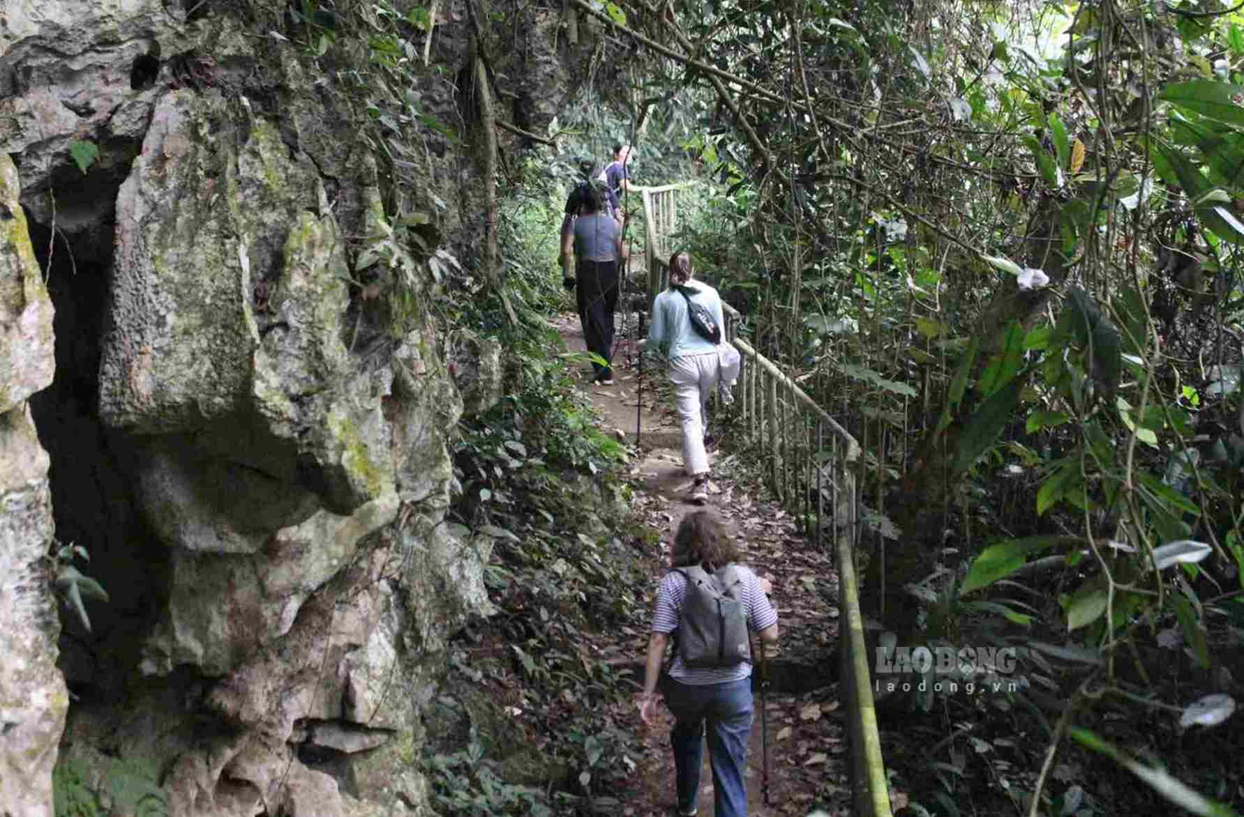 Bước trên bậc thang dẫn tới động Hoa Tiên, không khí dịu mát và yên tĩnh hẳn. Phủ trên đầu là tán cây rừng chen kín lối, thi thoảng lọt xuống bóng nắng đan vào nền đất. Tới quãng rộng, nhìn về đằng xa, du khách sẽ thấy hồ Mắt Ngọc lấp ló, nổi lên với màu xanh thẳm.  