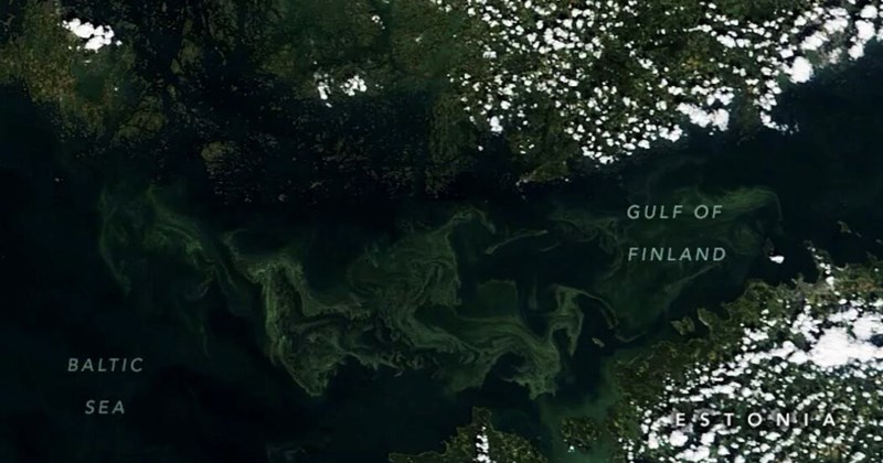 Estonia giải thích lý do không bắt giữ tàu chở dầu Nga ở Baltic