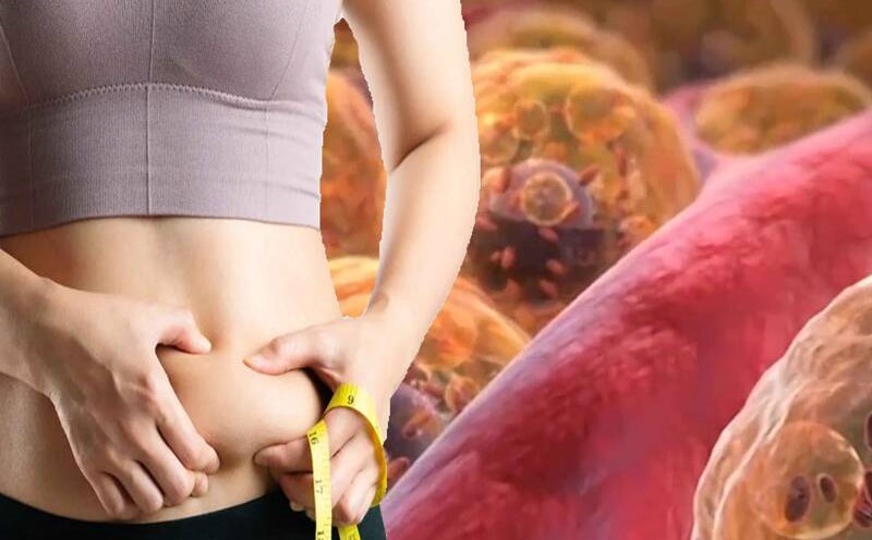 Visceral fat not only causes bloating but also seriously affects health. Photo: Ha May