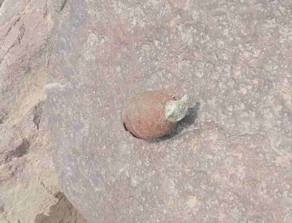 Quả lựu đạn gỉ sét trên lưu vực sông Ba. Ảnh: Công an 