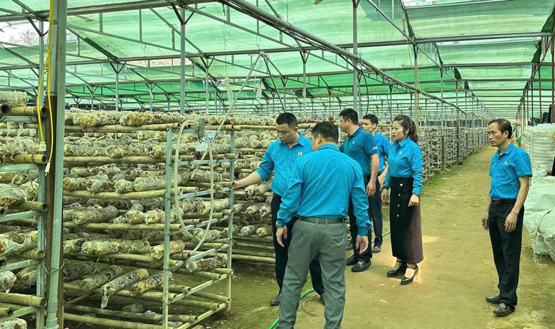 Chăm lo hơn 2.600 đoàn viên, Công đoàn Nghĩa Lộ được đánh giá tích cực