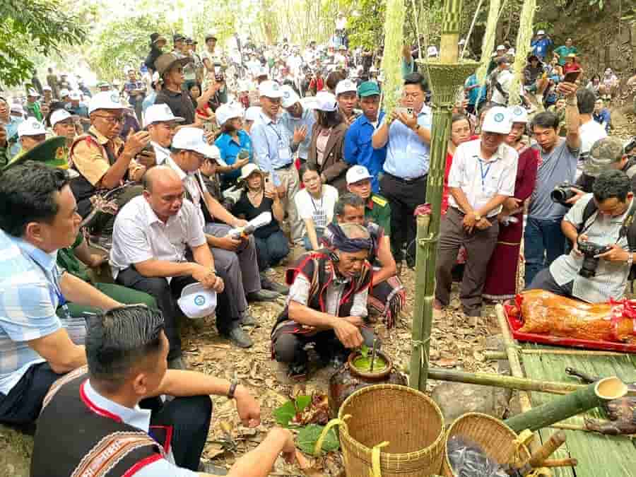 Scene of the forest worship ceremony in Gao commune. Photo: Phuong Duyen