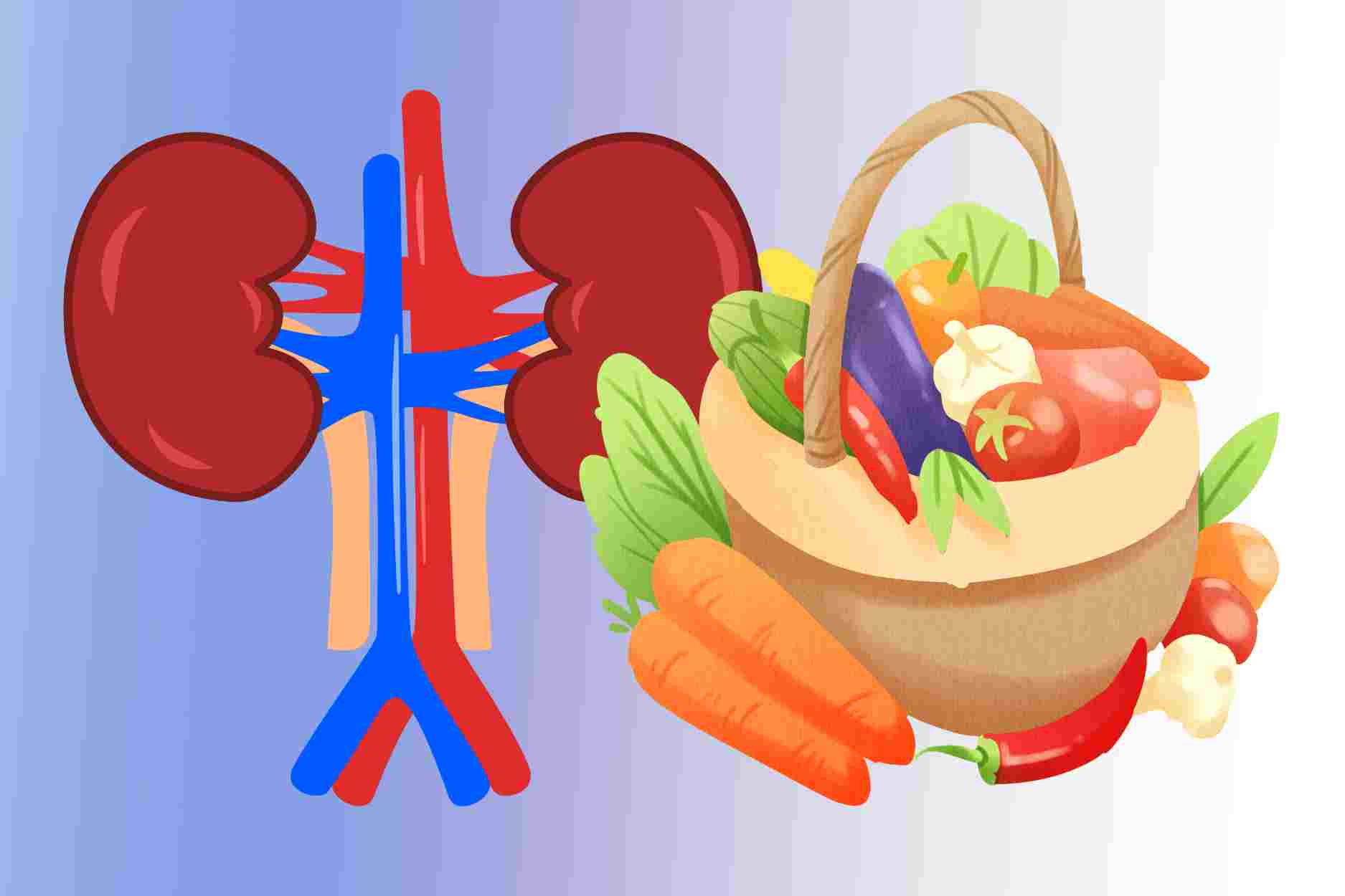 Which foods are good for the kidneys in daily life?
