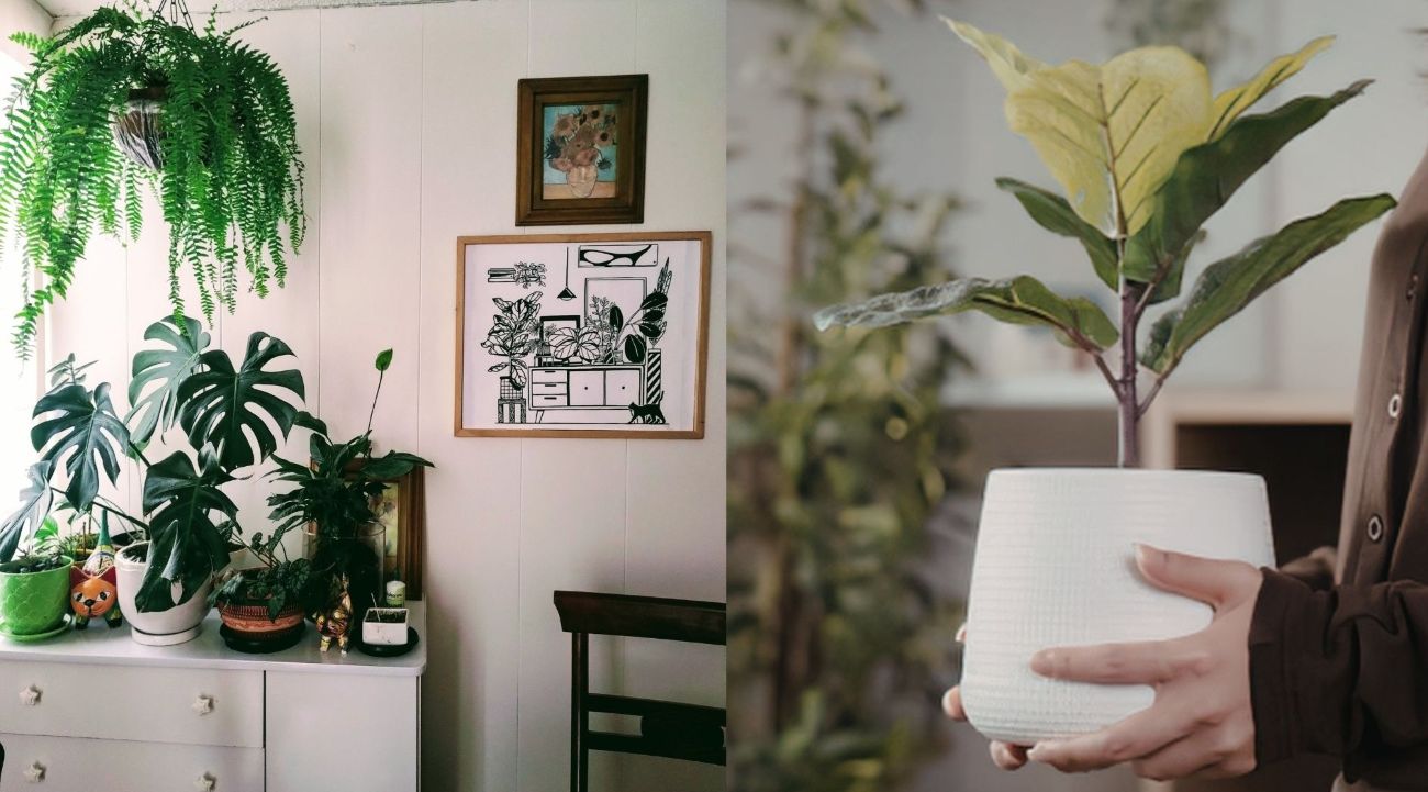 For apartments with limited area, garden design in the house needs to be reasonably calculated. Graphics: Thanh Thanh