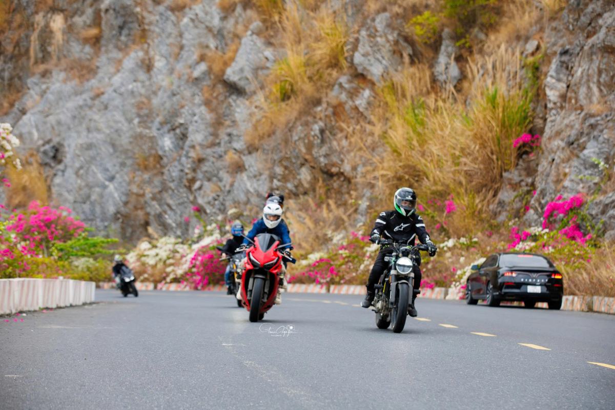 Cung đường hoa ven biển đã và đang trở thành điểm nhấn cảnh quan nổi bật, góp phần làm mới diện mạo đô thị và lan tỏa hình ảnh một Cát Bà xanh, thân thiện, giàu sức hút. Ảnh: Xuân Thủy - Toan Nguyễn