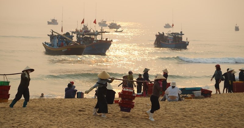 Mùa cá khoai ở Quảng Trị bắt đầu, làng chài ven biển nhộn nhịp