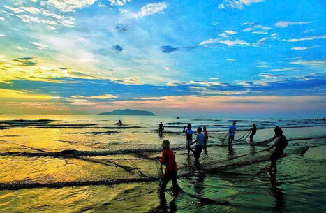 Ngư dân kéo lưới ven bờ, bắt đầu một ngày lao động sau chuyến biển. Ảnh: Ngọc Anh