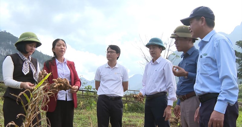 Sản phẩm nông nghiệp hữu cơ EU mở hướng đi mới
