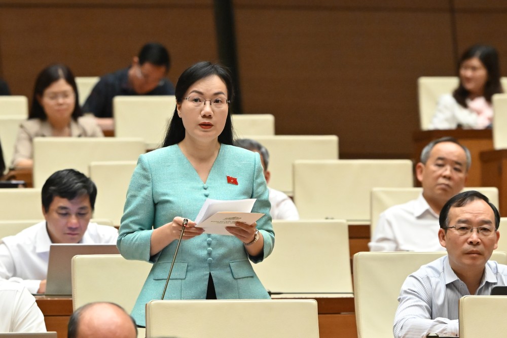 Đại biểu Quốc hội Đỗ Thị Việt Hà phát biểu. Ảnh: Phạm Đông