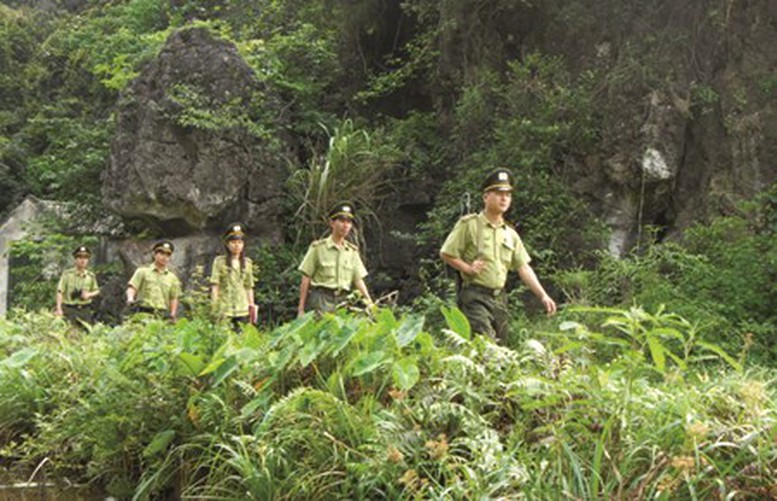 Regulations related to seniority allowances for specialized forest protection forces have received much attention. Photo: VGP