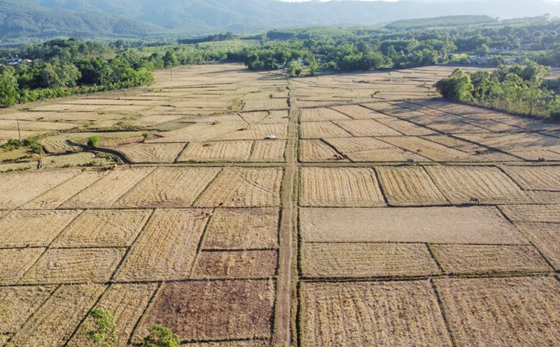 가뭄에 적극적으로 대응하고 AI, 드론 기술로 수자원을 분석합니다