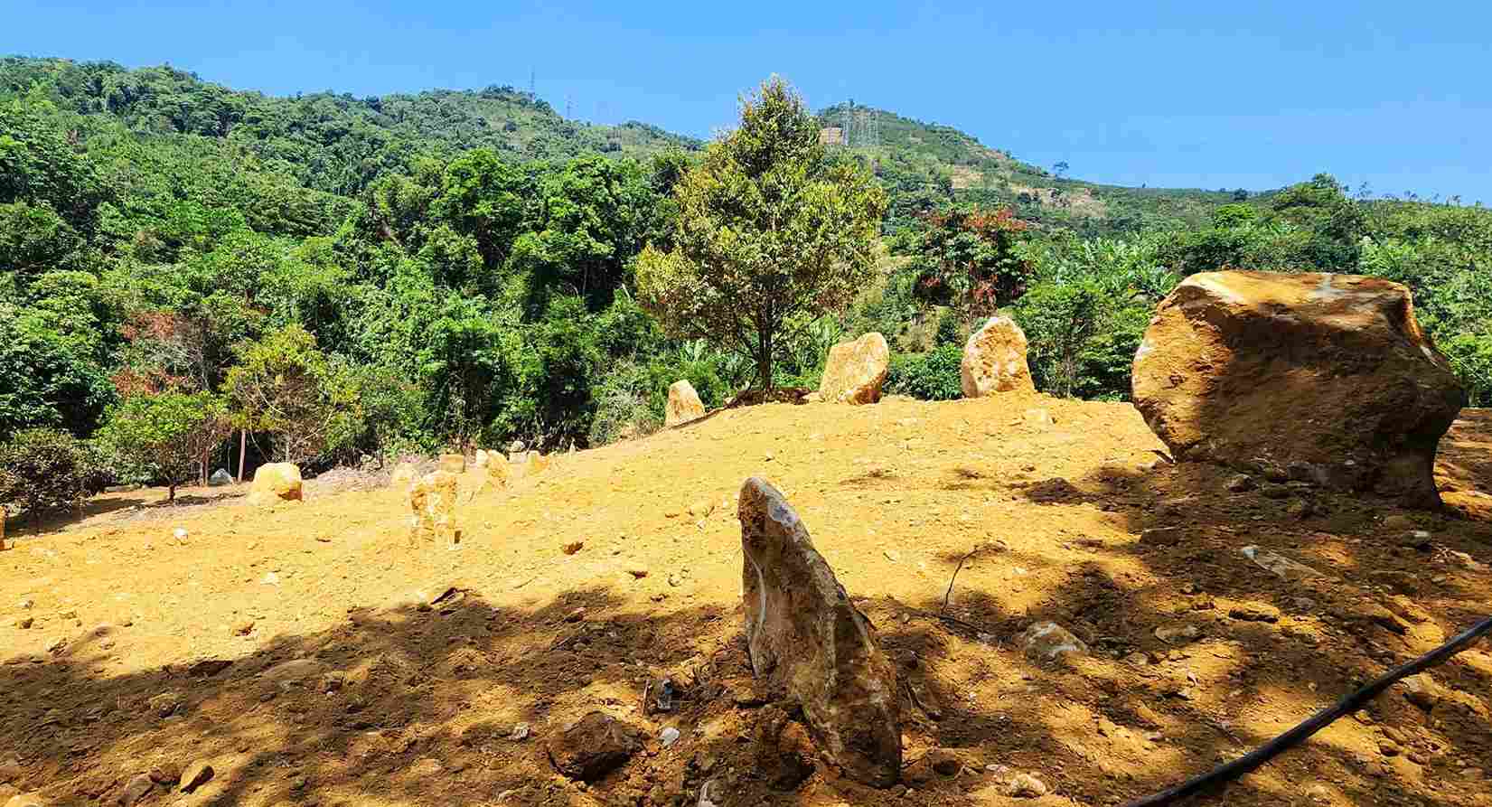 Quả đồi đất lâm nghiệp trên đèo Bảo Lộc bị san gạt, lấn chiếm. Ảnh: Phúc Khánh 