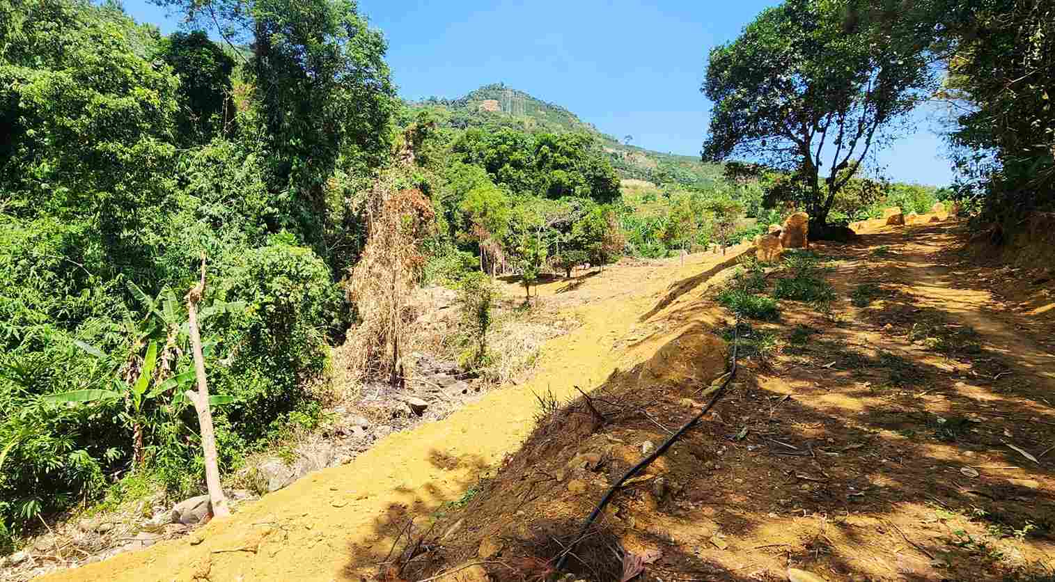 Suối tự nhiên trên đỉnh đèo Bảo Lộc bị tác động do hoạt động san gạt. Ảnh: Phúc Khánh 