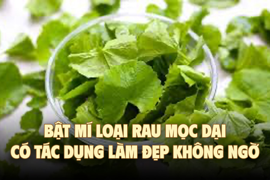 Revealing wild vegetables with unexpected beauty effects