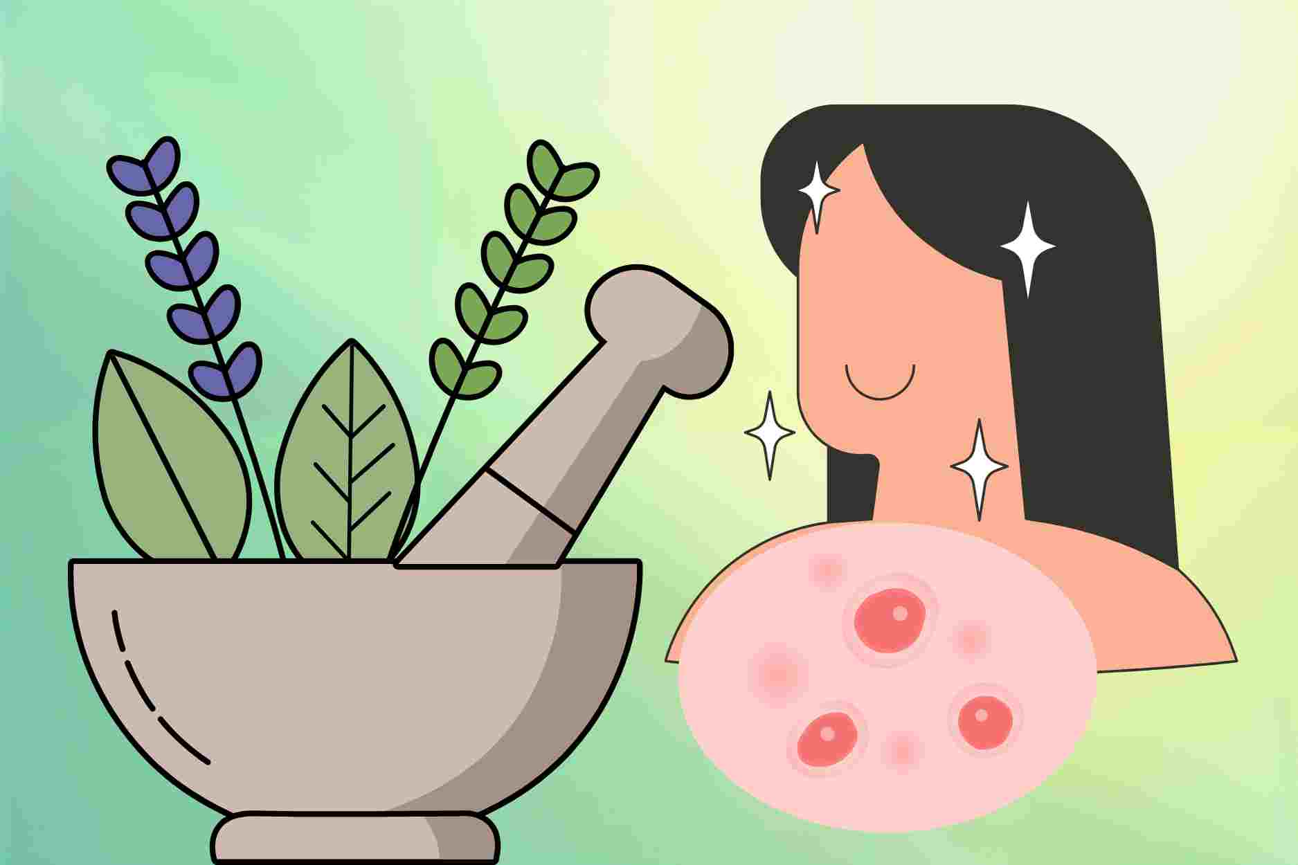 Folk leaves that help reduce boils and soothe skin on hot sunny days