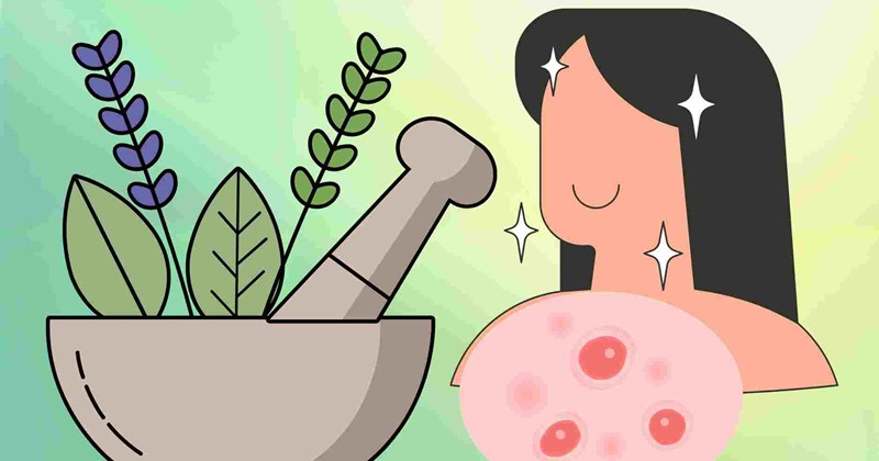 Lá cây dân gian giúp giảm mụn nhọt, dịu da ngày nắng nóng