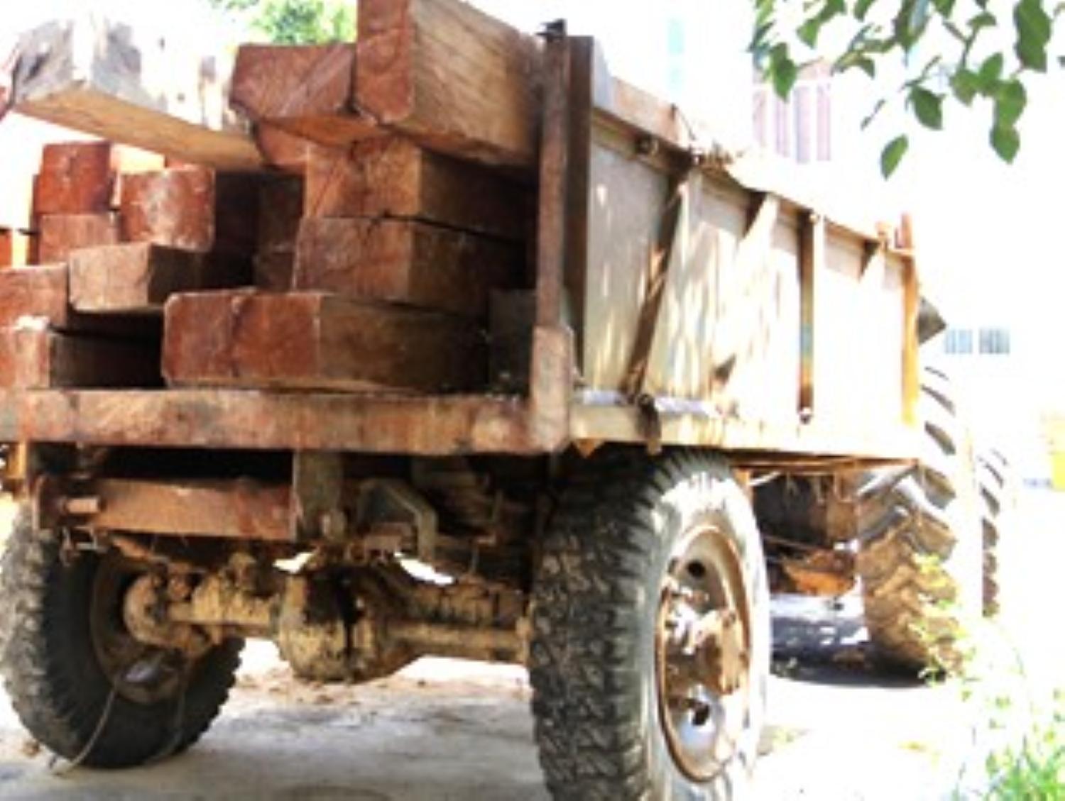 Confiscated forest products in Khanh Hoa that have been established as all-people ownership will be considered for transfer to agencies and units in need of use. Photo: Thanh Long