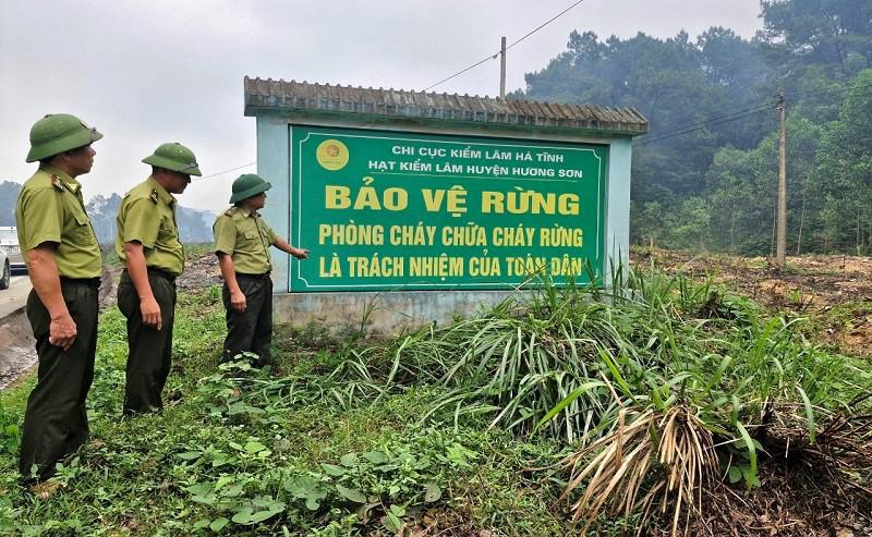 Prolonged hot weather, Ha Tinh is focusing on urgent measures to prevent and combat forest fires. Photo: Hoang Anh