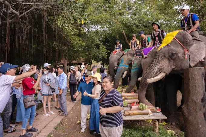 Du khách hào hứng tham quan, chụp hình tại tiệc buffet voi, trong khuôn khổ các hoạt động bên lề của Ngày hội Bunpimay 2569 năm 2026 ở xã Buôn Đôn, tỉnh Đắk Lắk. Ảnh: Hoài Thu/TTXVN  