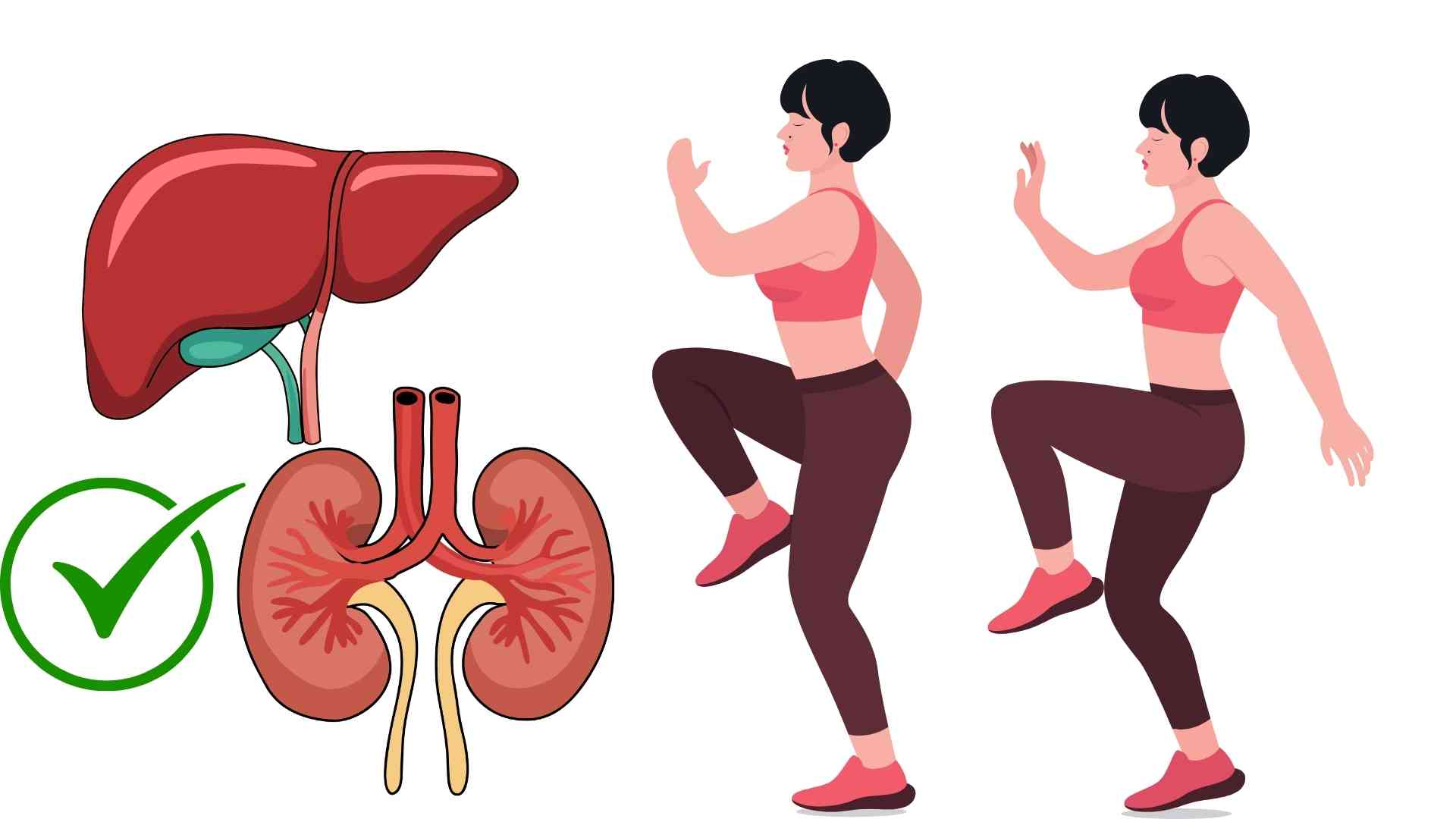 올바른 무릎 높이는 방법은 간과 신장 해독에 도움이 됩니다. 그래픽: 하메이