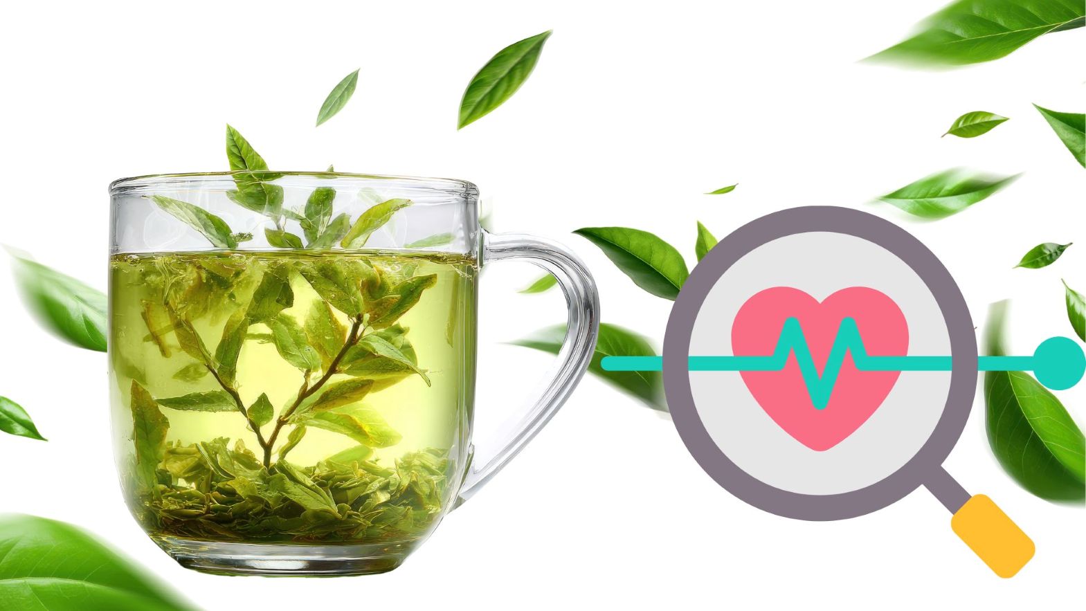 Green tea is a drink rich in antioxidants that are good for health. Graphics: Thanh Thanh