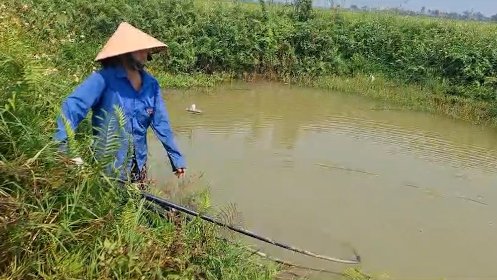 Lack of domestic water, many households in Ha Tinh live in hardship. Photo: Tran Tuan