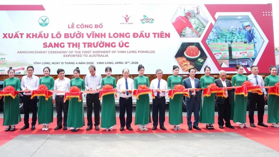 Mr. Chau Van Hoa - Vice Chairman of Vinh Long Provincial People's Committee and delegates perform the ritual at the ceremony announcing the export of the first batch of grapefruit to the Australian market. Photo: Hoang Loc